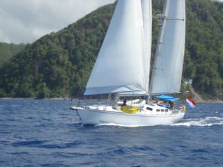 sailing boat windsurf