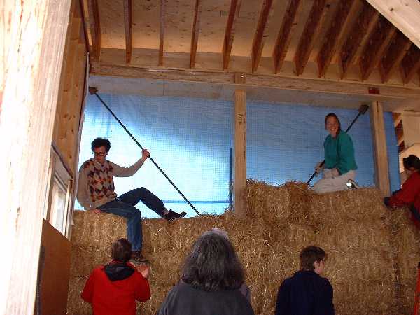 Compressing the bales as they are stacked is aided by body weight. From these bale top positions, expert balers stuff cracks with loose straw.