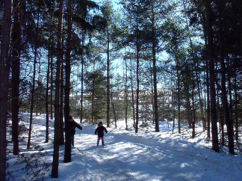 Claire and Ian take a leisurly stroll down the winding driveway through the trees. The house is partially visible through the trees as the sun sparkles off of the new roof joists.