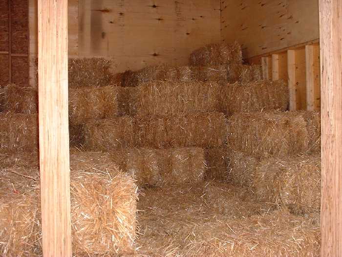 The bales of straw have been stacked in the master bedroom to keep them dry before being placed in the north wall. The kids have enjoyed climbing up to be king of the castle.
