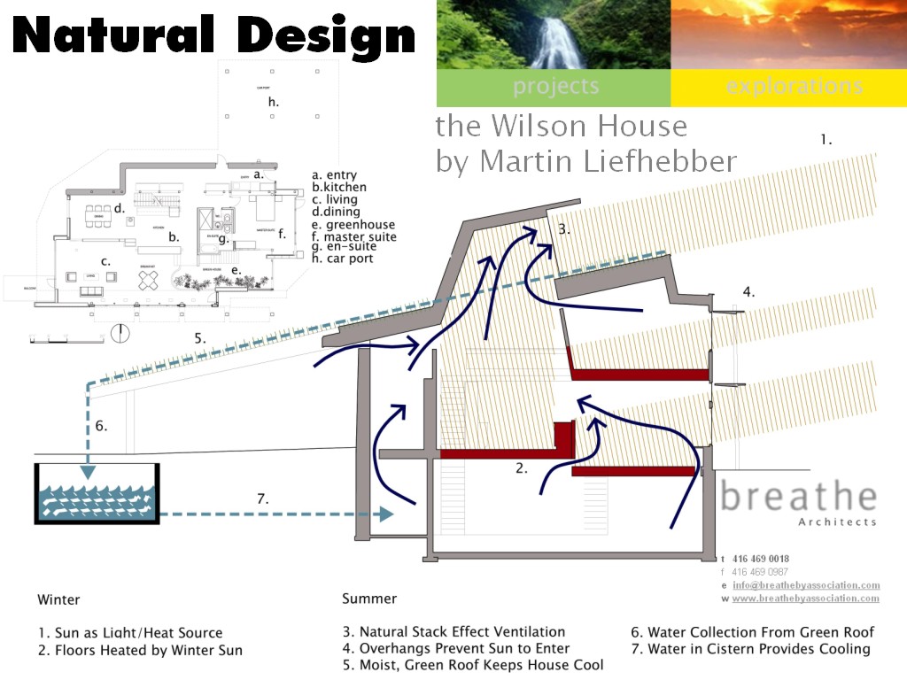wilsondesign