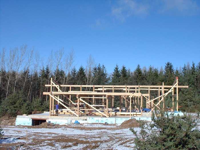 Looking straight north at the frame of the house from deep south on the property. The second floor line is now visible.
